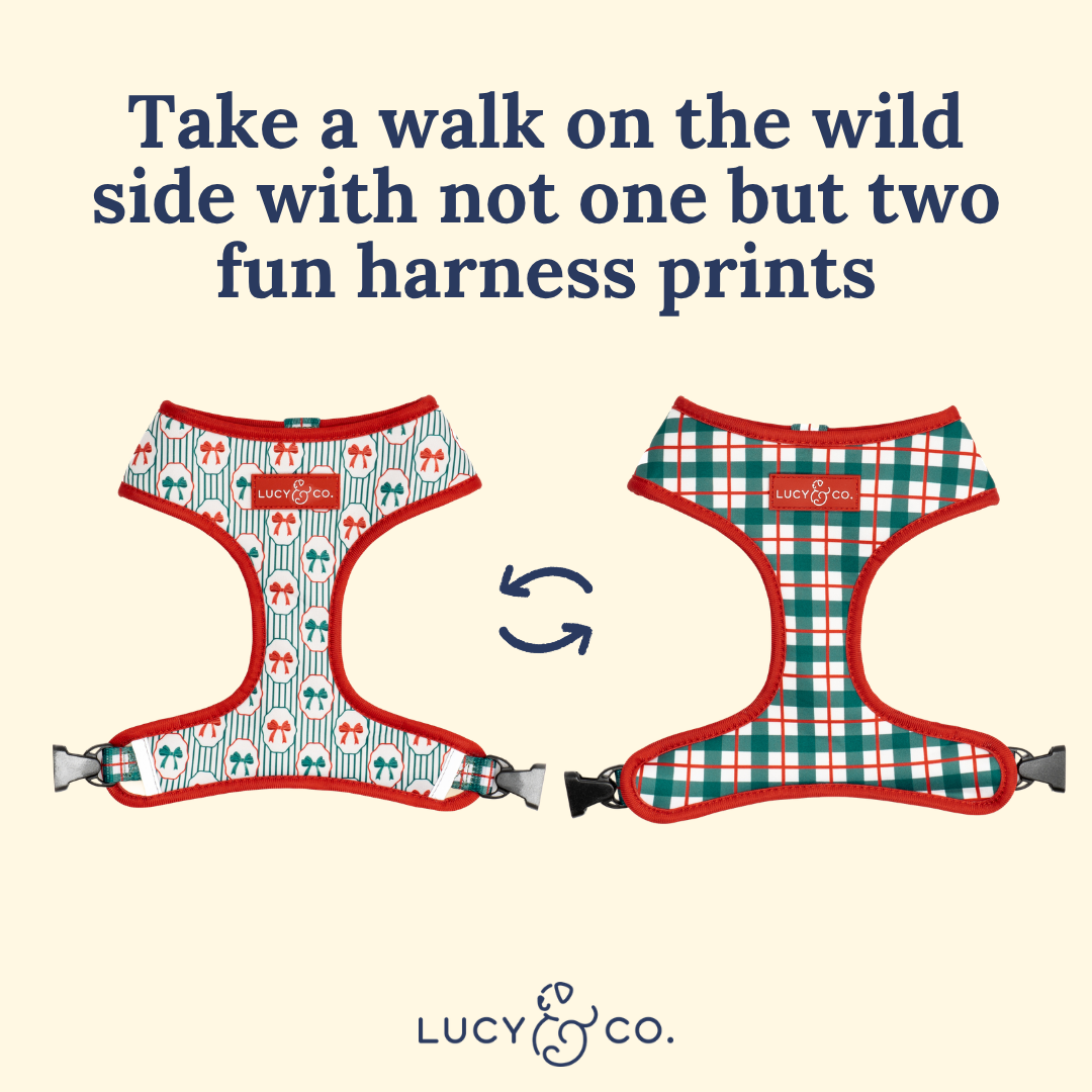 Lucy &amp; Co. - Wrap it Up Reversible Harness