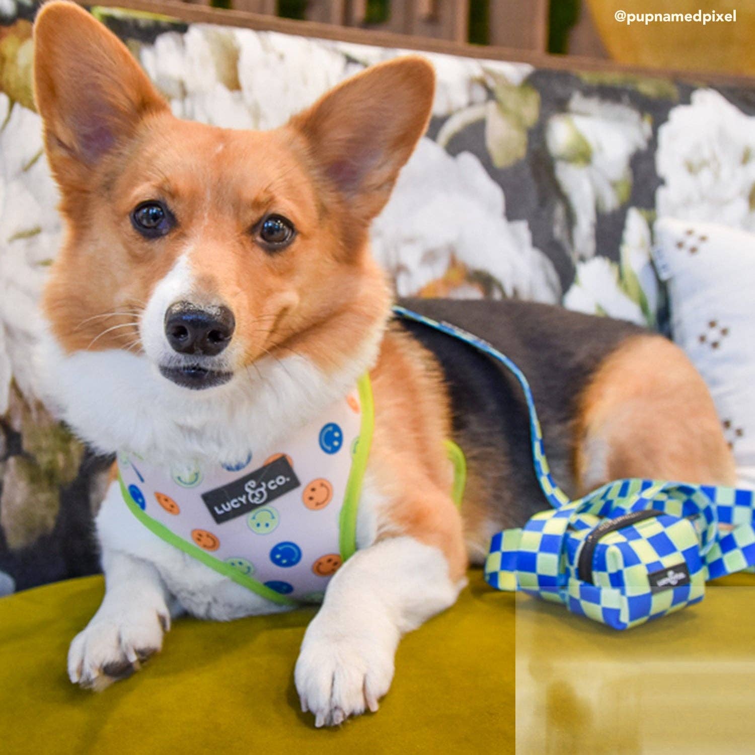 Lucy &amp; Co. - Have a Nice Day Poop Bag Holder