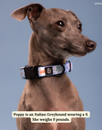 Lucy & Co. - Sunny in Sicily Collar