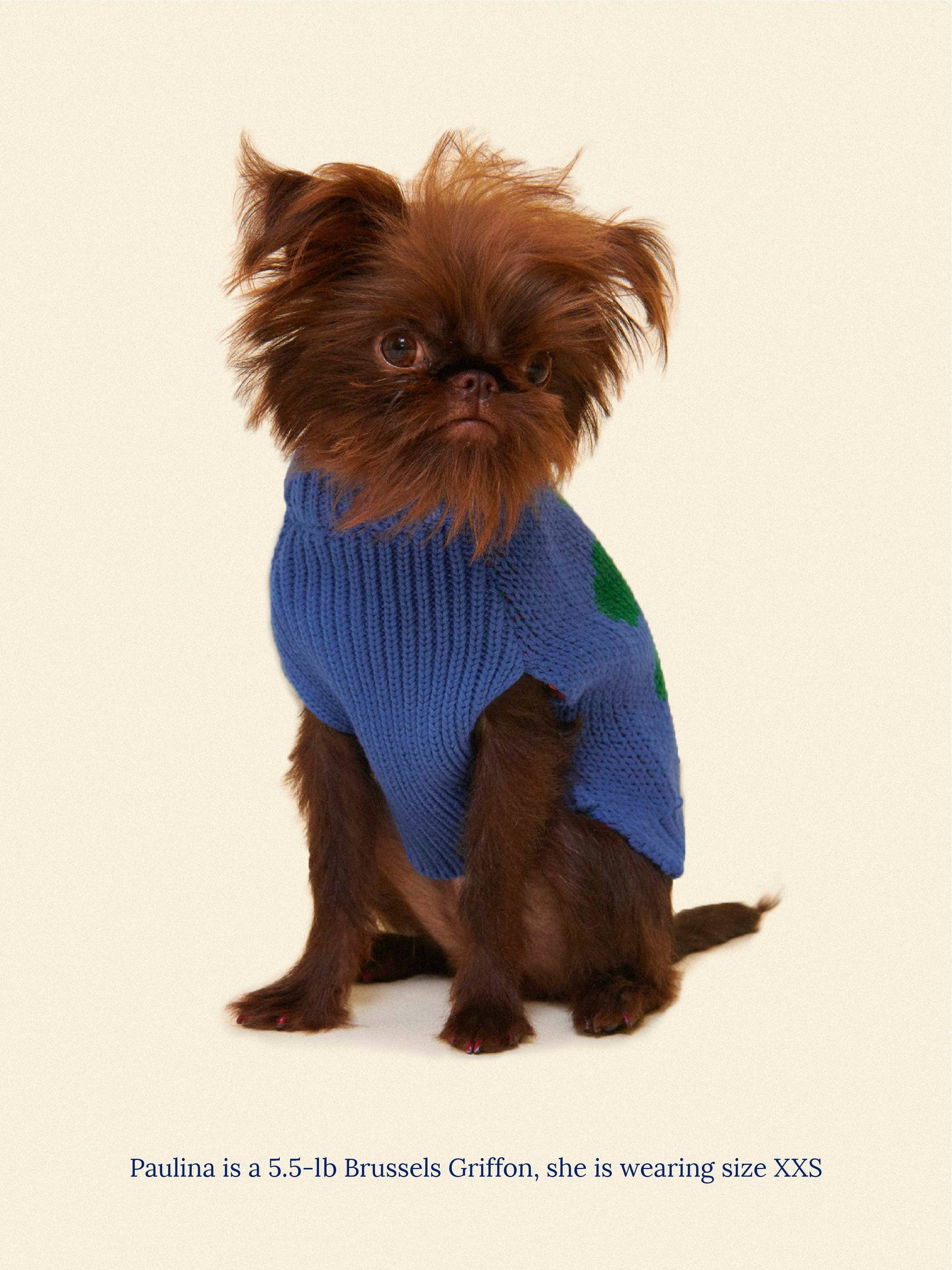 Little Beast - Painkiller Daisy ✿ x Memorial Day Sweater
