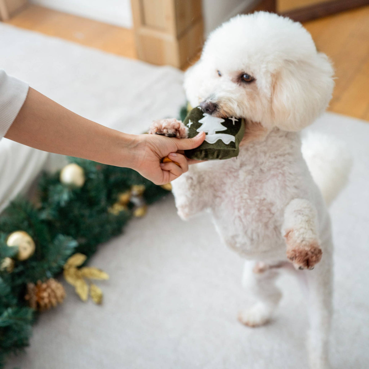 Lambwolf Collective - WINTER SNUFFLE COOKIES // HOLIDAY: NUDE