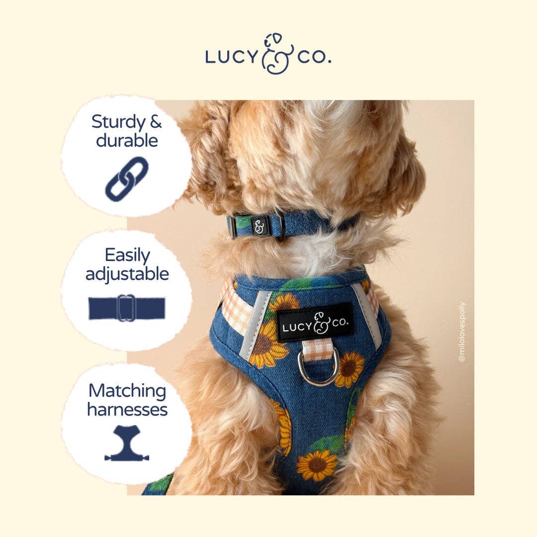 Lucy &amp; Co. - Sunflower Power Denim Collar