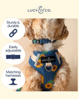 Lucy & Co. - Sunflower Power Denim Collar