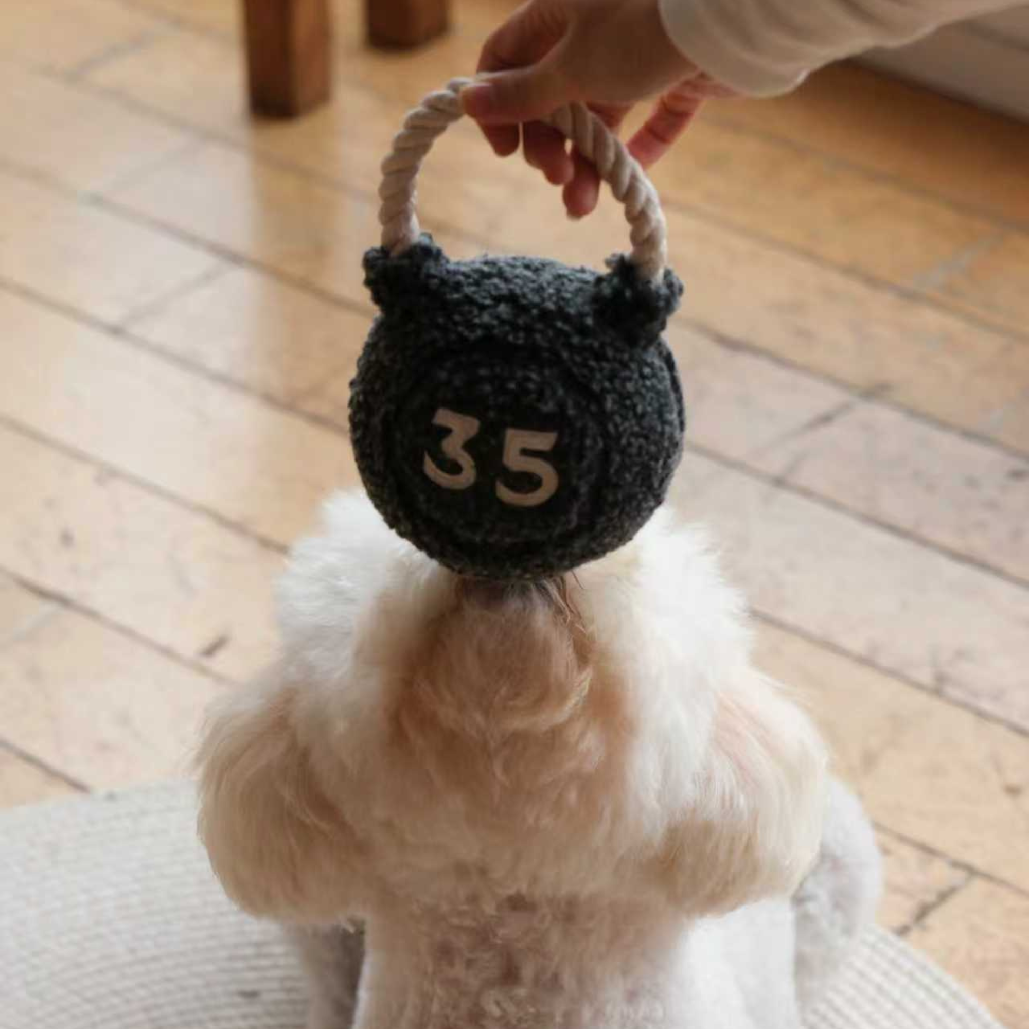 Lambwolf Collective - KETTLEBELL // ENRICHMENT DOG TOY // TUG + FETCH TOY