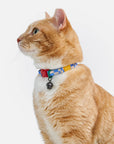 Wild One - Breakaway Cat Collar: S / M • Cat / Bubblegum
