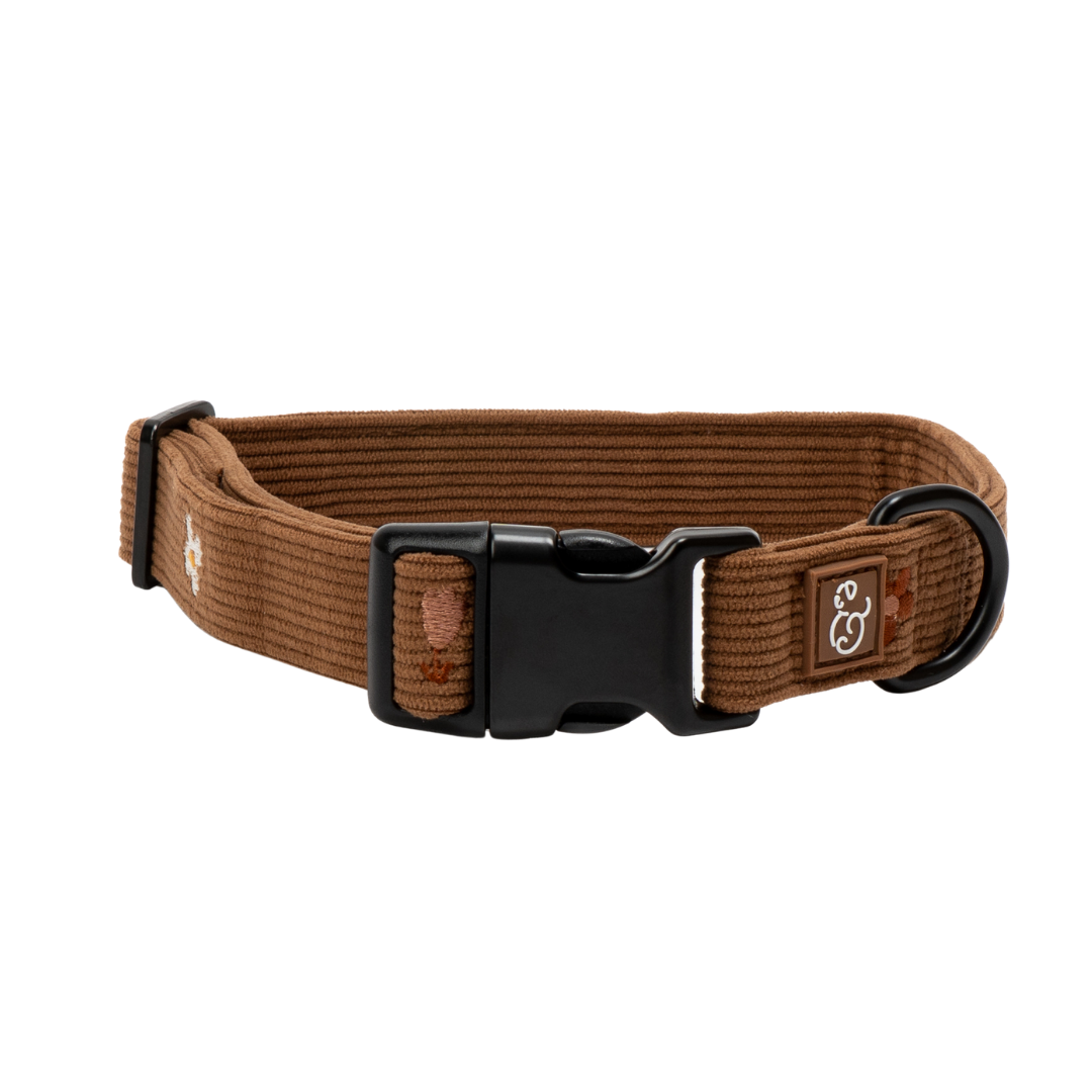 Lucy &amp; Co. - Chocolate Meadows Corduroy Collar