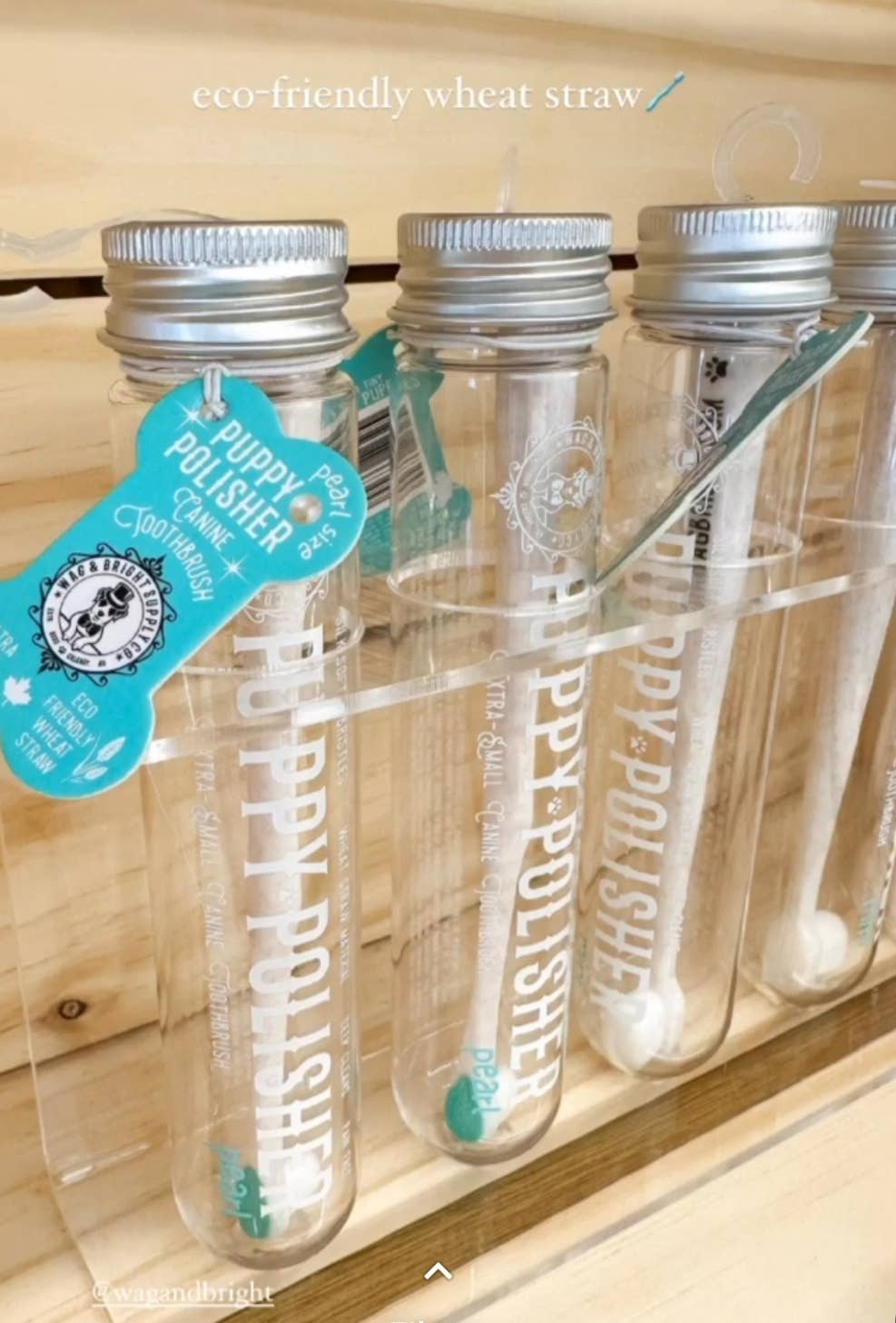 Wag &amp; Bright Supply Co. - Display Stand
