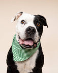 The Paws - Green Gingham Dog Bandana