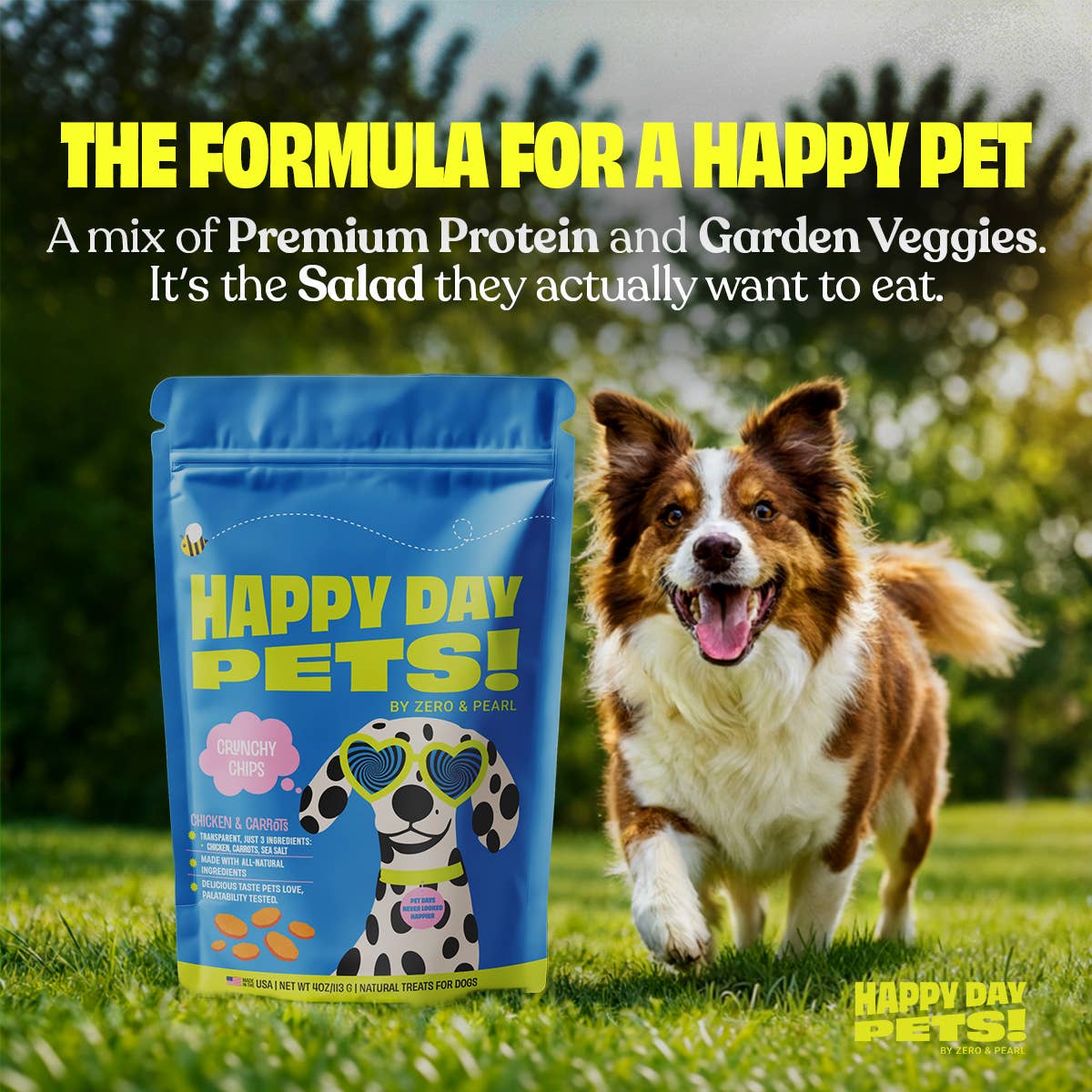 Happy Day Pets - Happy Day Pets Chicken &amp; Carrot Chips Dog Treats