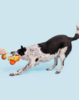BARK Hairloom Tomatoes
