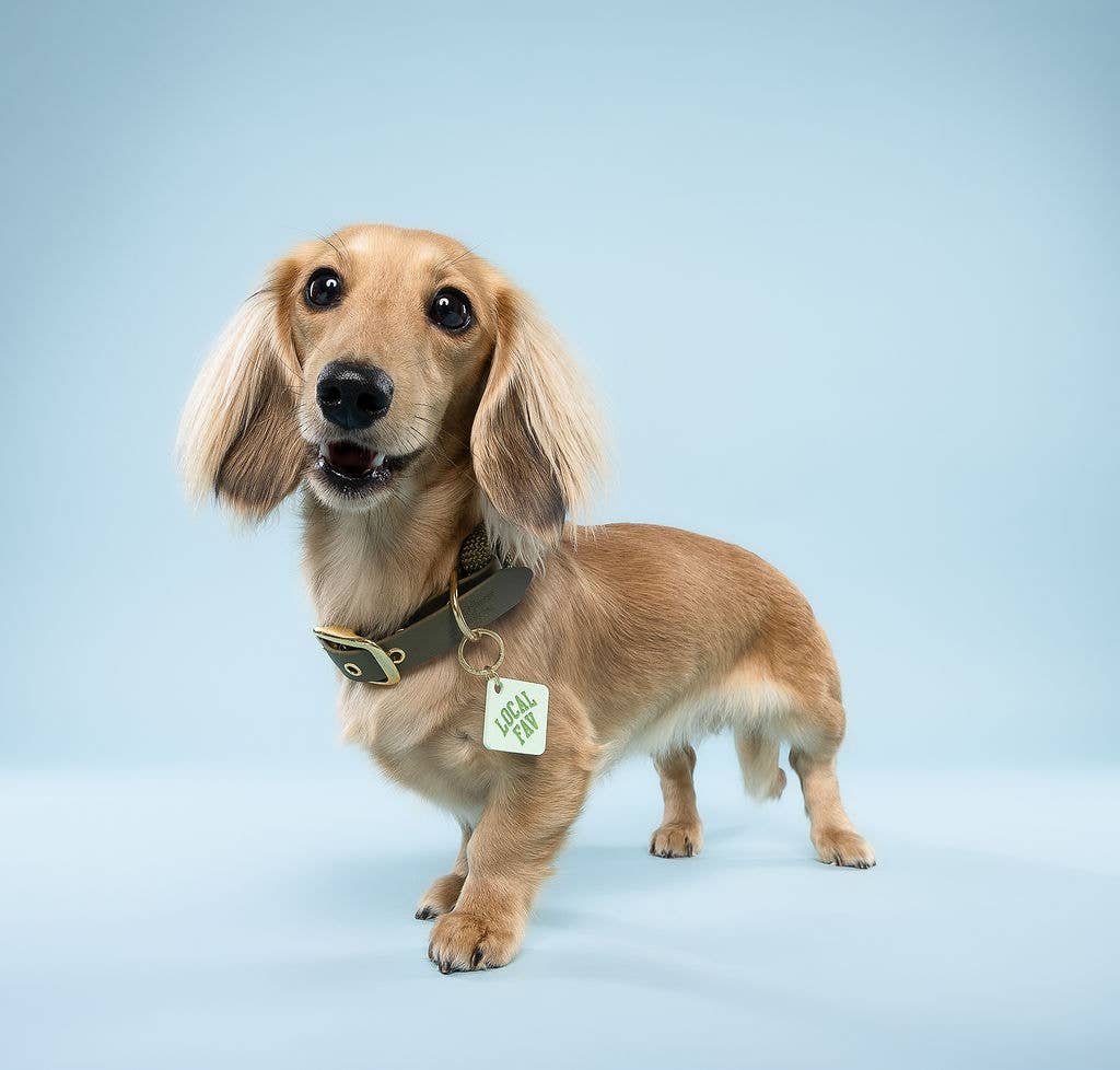 Freshwater Curated Goods™ - Local Fav Pet Tag