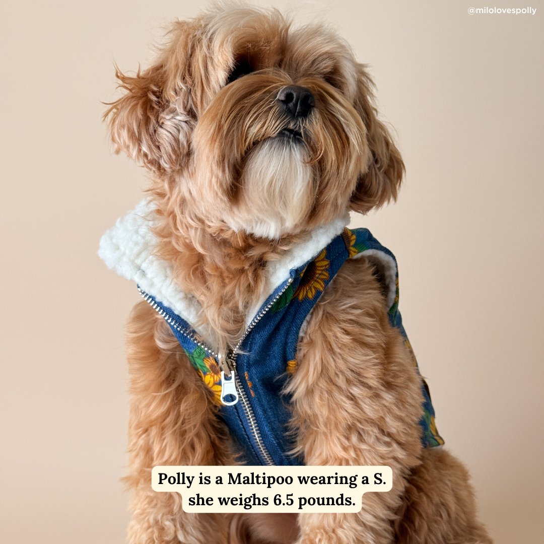 Lucy &amp; Co. - Sunflower Power Reversible Teddy Vest