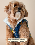 Lucy & Co. - Sunflower Power Reversible Teddy Vest