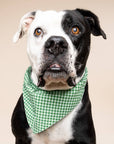 The Paws - Green Gingham Dog Bandana