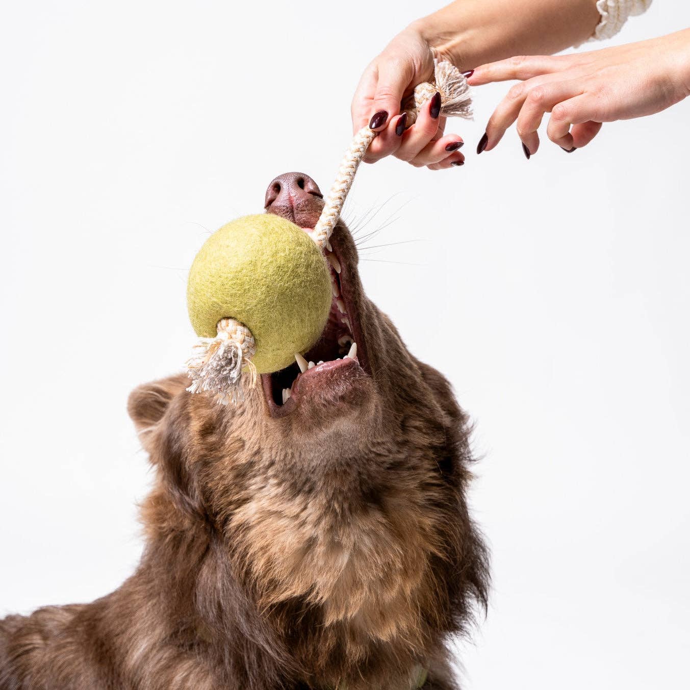 Awoo - Pimento Olive Felt &amp; Rope Tug Toy