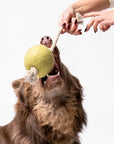 Awoo - Pimento Olive Felt & Rope Tug Toy