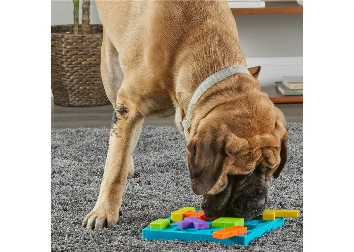 Brightkins Brain Teaser Treat Puzzle