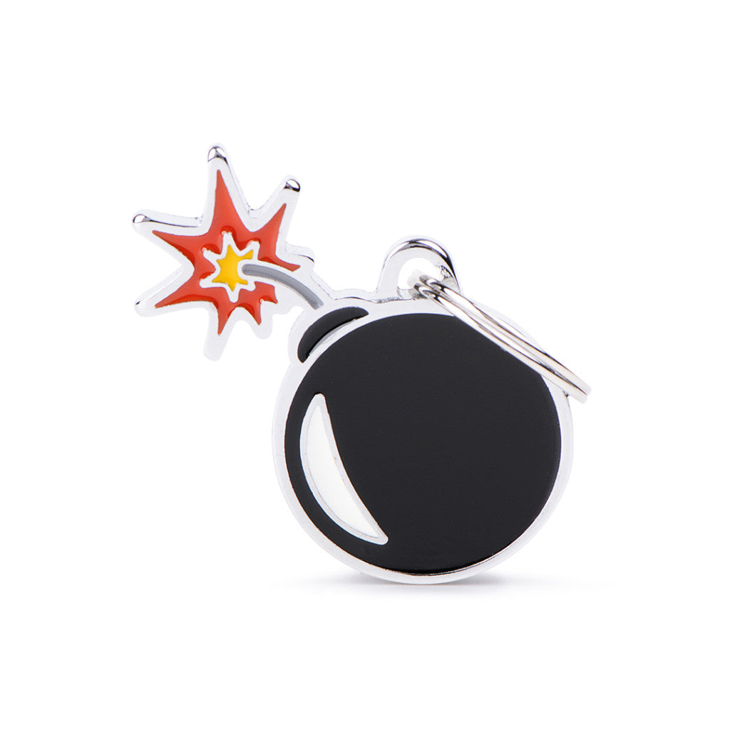 MyFamily Custom Engraved ID Tags - Charms