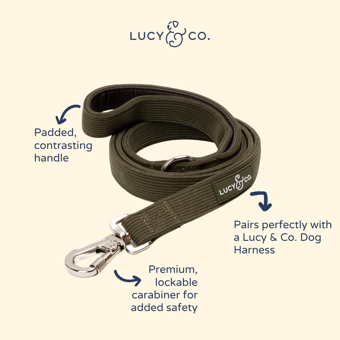 Lucy &amp; Co. - Take a Hike Corduroy Leash