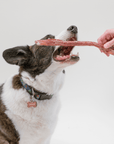 Pupford - Bully Stick Dog Chew 12" 4 Pack