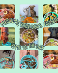 Happy Dingos - Loco Coco Interactive Slow Feeder Bowl : Sunset