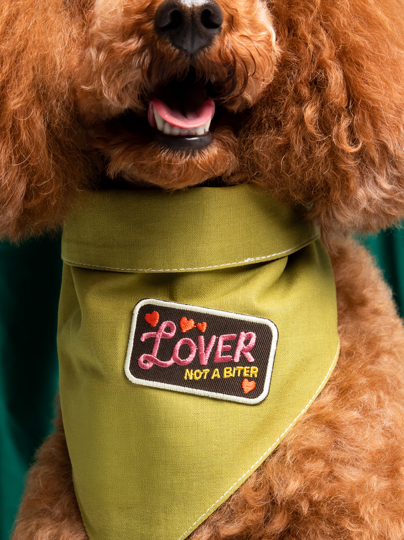 Scout's Honour Pty Ltd - Lover not a Biter iron-on patch for dogs and cats