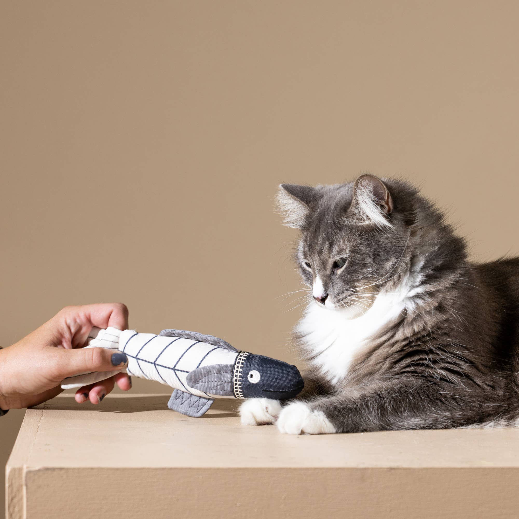 Petshop by Fringe Studio - SOMETHING'S FISHY CANVAS KICKER CAT TOY