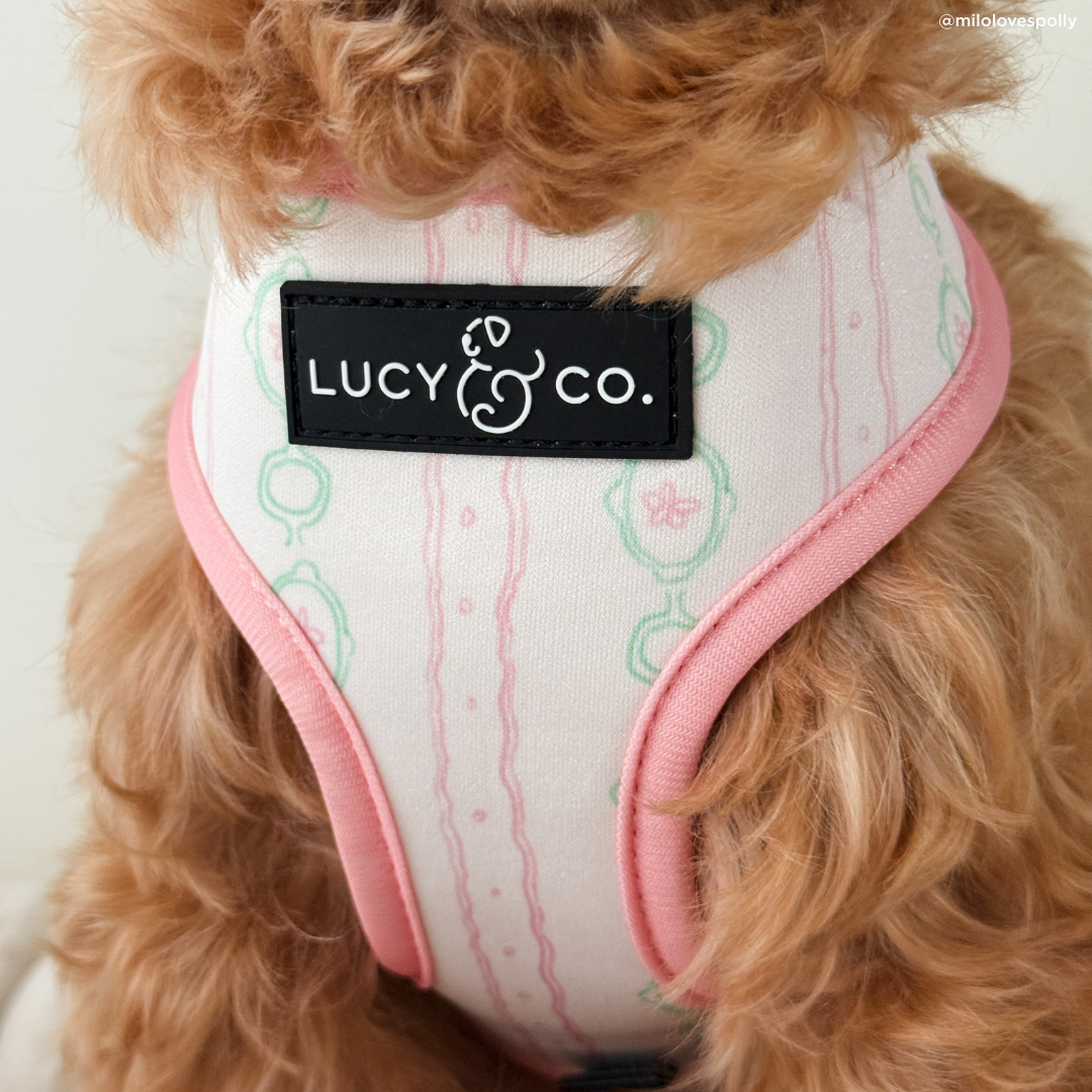 Lucy &amp; Co. - Sipping Slowly Reversible Harness