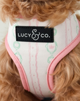 Lucy & Co. - Sipping Slowly Reversible Harness