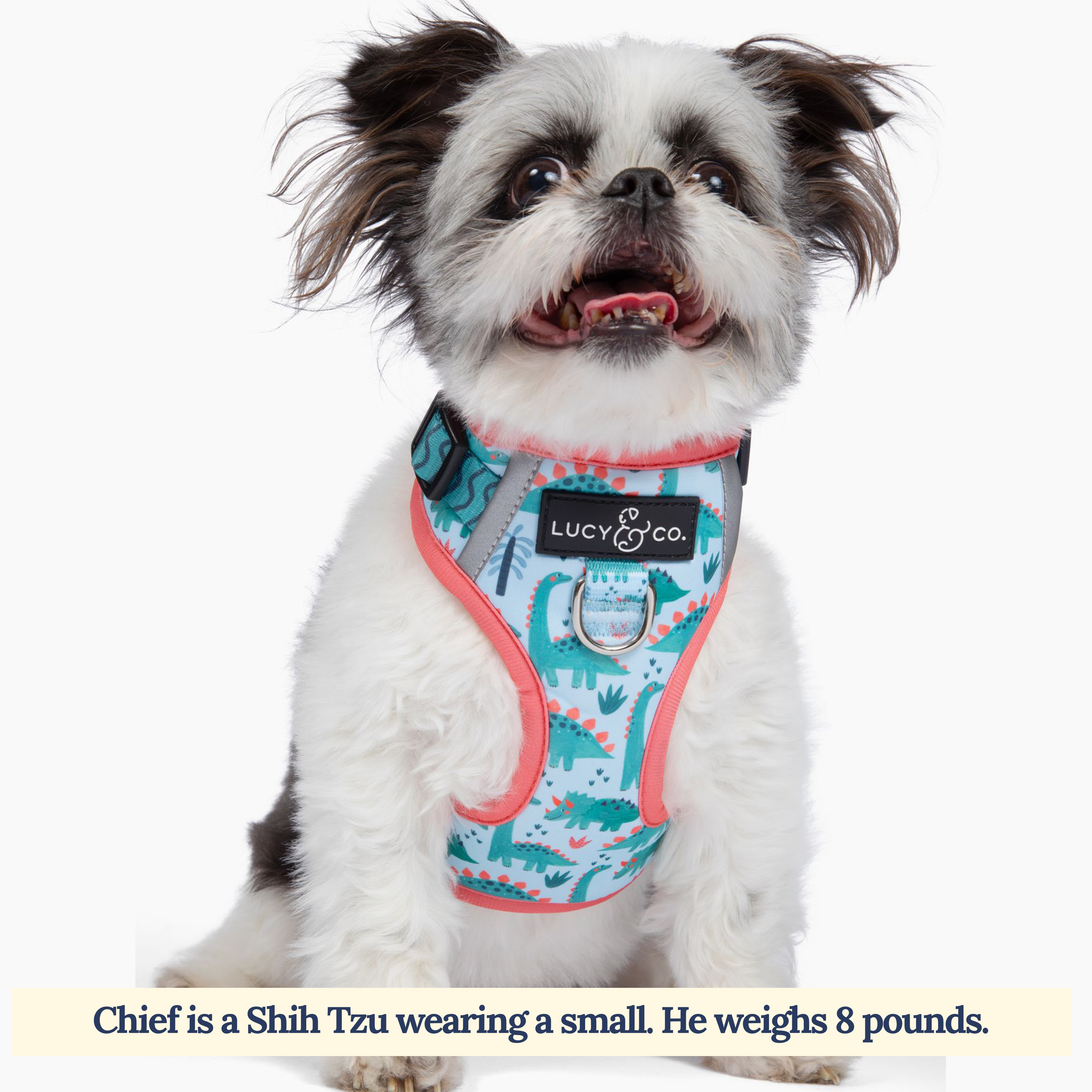 Lucy &amp; Co. - The DinoROAR No-Pull Harness