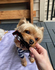 Wag & Bright Supply Co. - Mighty Marrows Collagen Dental Chew- Spirulina Beef- 3 Sizes: Large