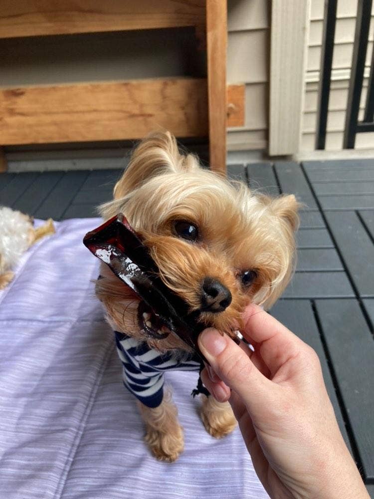 Wag &amp; Bright Supply Co. - Mighty Marrows Collagen Dental Chew - Bacon - 3 Sizes: Large