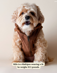 Lucy & Co. - Chocolate Meadows Reversible Teddy Vest