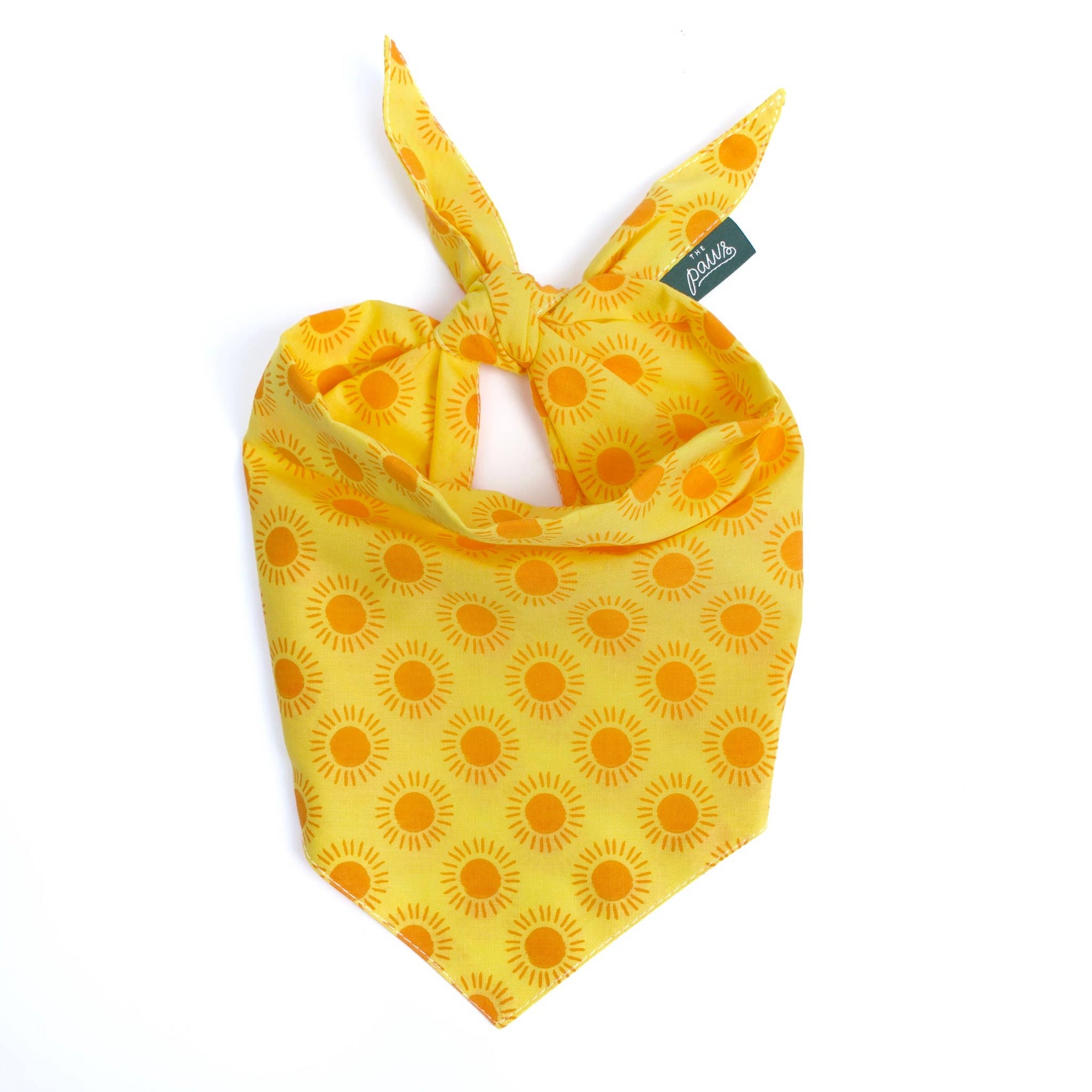 The Paws - Sol Dog Bandana