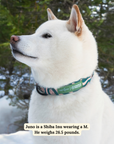 Lucy & Co. - Lucy & Co. x Parks Project Geyser Collar