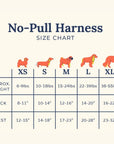 Lucy & Co. - Chocolate Meadows Corduroy No-Pull Harness
