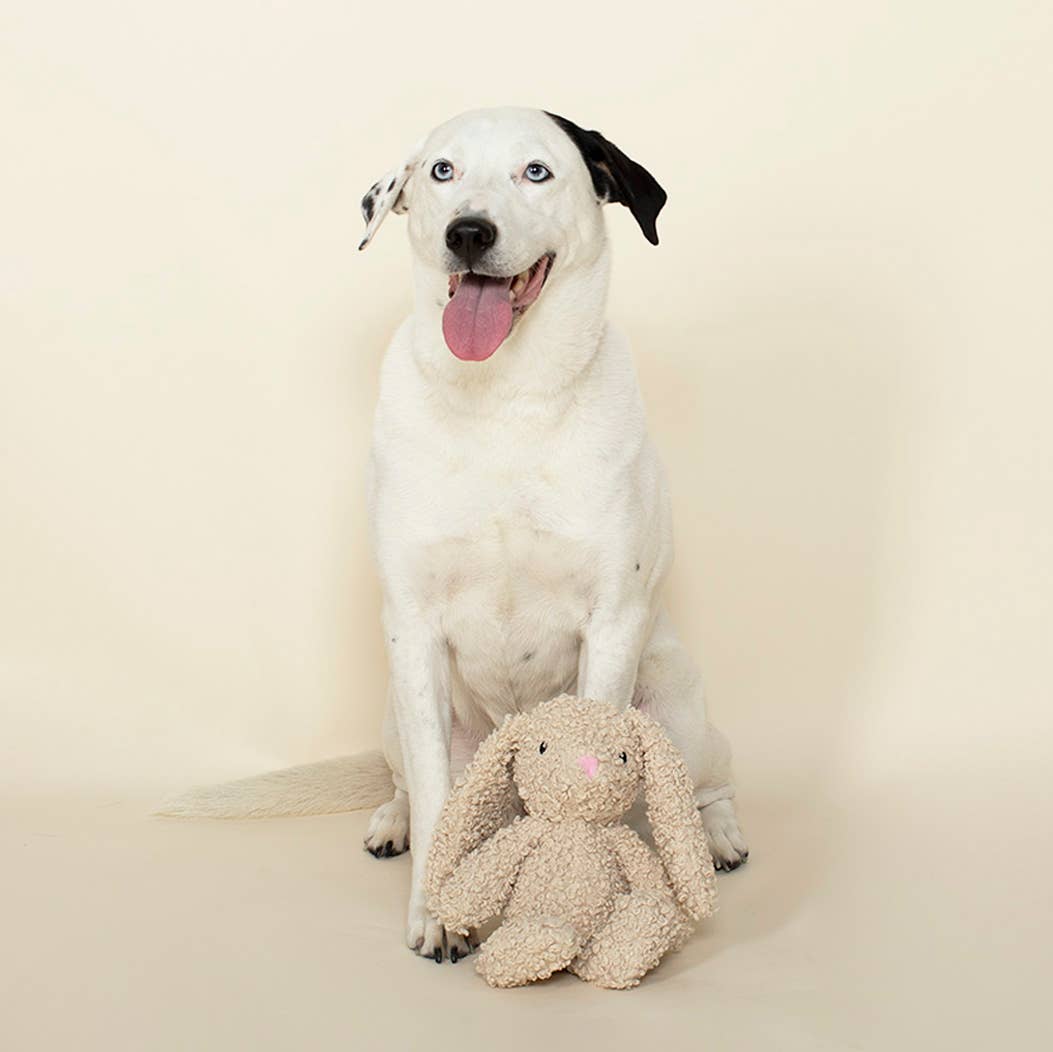 Petshop by Fringe Studio - Honey Bunny Plush Dog Toy