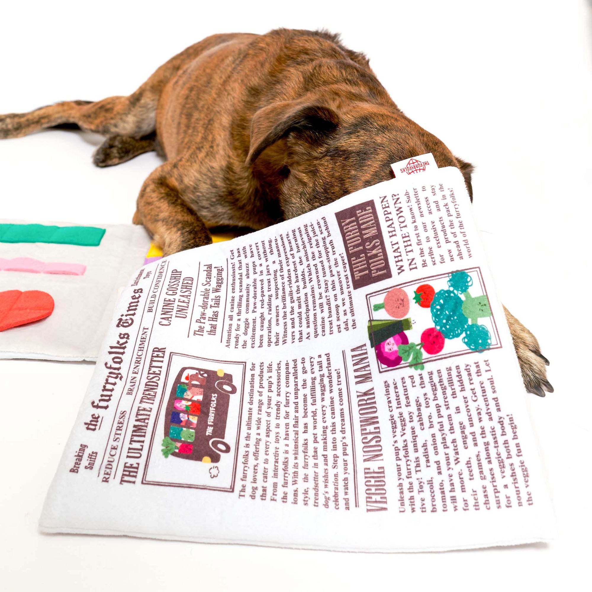 the furryfolks - Newspaper Nosework Toy