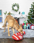 Pet Palette Distribution - BARK Grandy Cane Christmas Plush Dog Toy