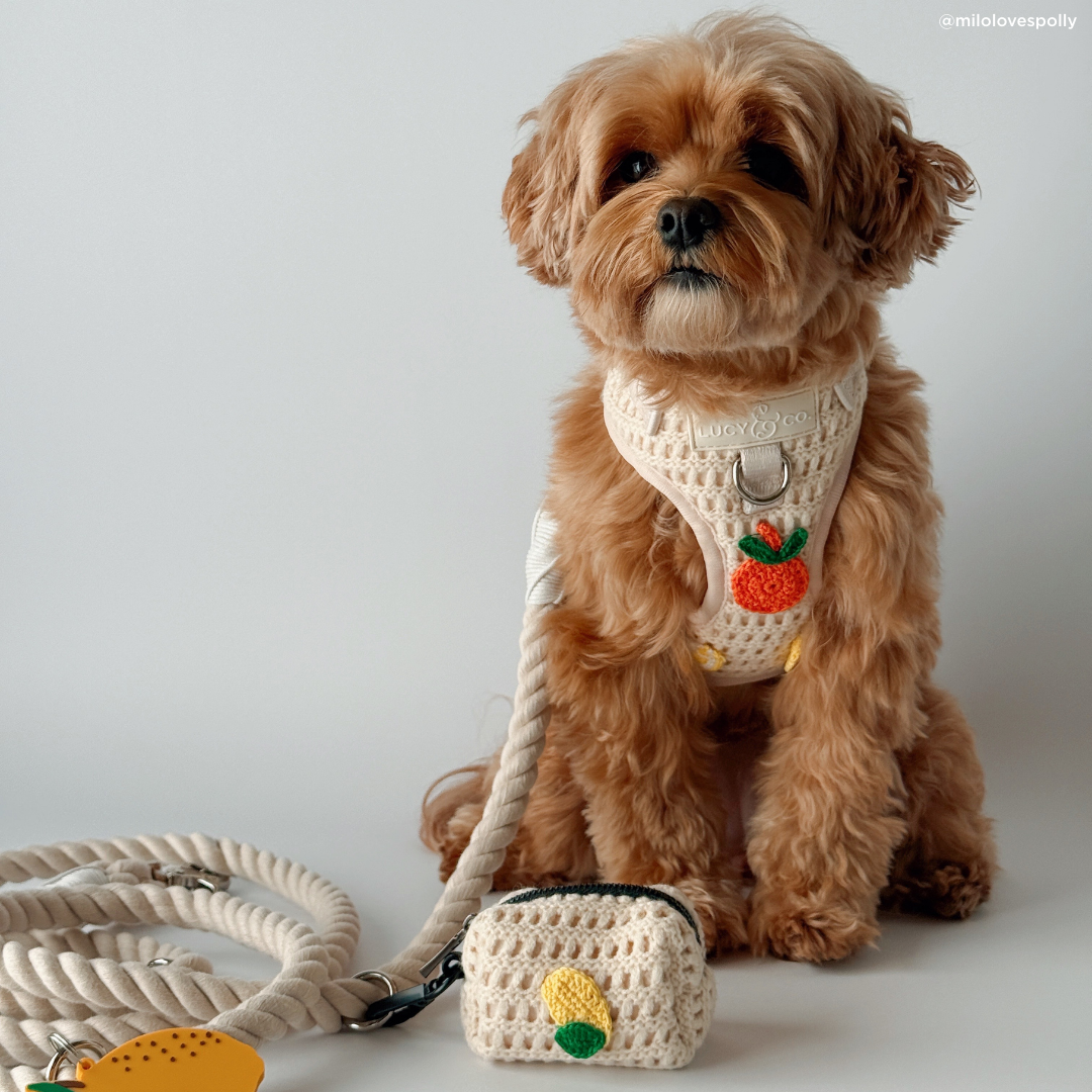 Lucy &amp; Co. - Main Squeeze Crochet No-Pull Harness