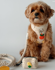 Lucy & Co. - Main Squeeze Crochet Poop Bag Holder