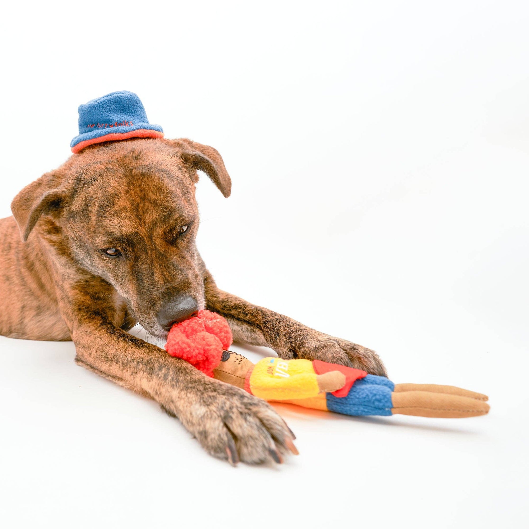 the furryfolks - Surfer Hooman Nosework Toy