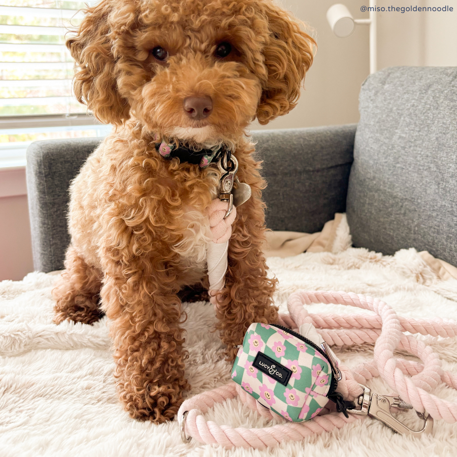 Lucy &amp; Co. - Just Chill Poop Bag Holder: Default Title