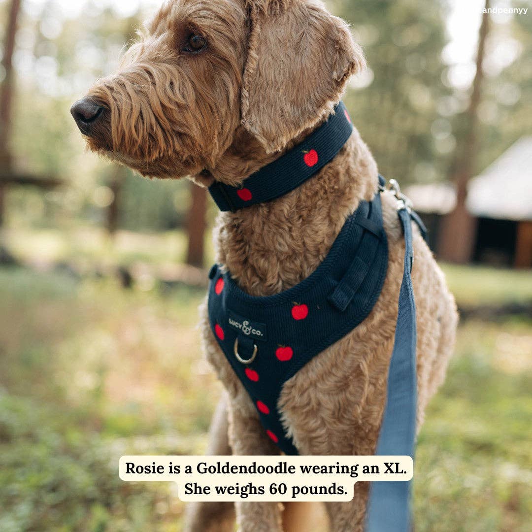 Lucy &amp; Co. - Appley Ever After Corduroy No-Pull Harness