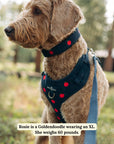 Lucy & Co. - Appley Ever After Corduroy No-Pull Harness