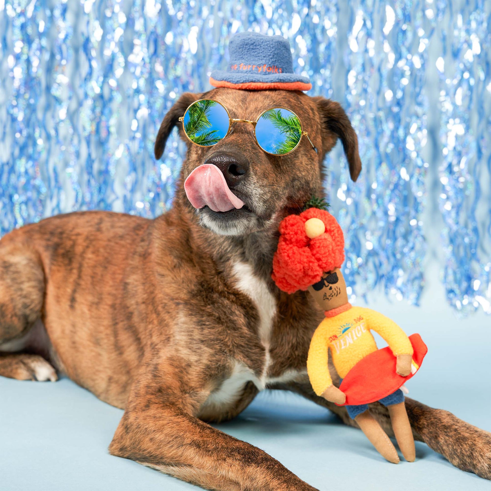 the furryfolks - Surfer Hooman Nosework Toy