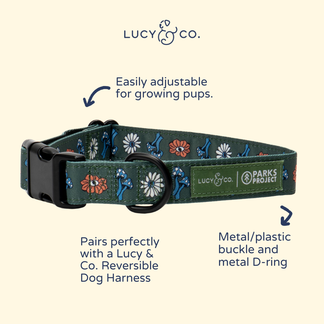 Lucy &amp; Co. - Lucy &amp; Co. x Parks Project Power to the Parks Collar