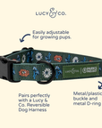 Lucy & Co. - Lucy & Co. x Parks Project Power to the Parks Collar