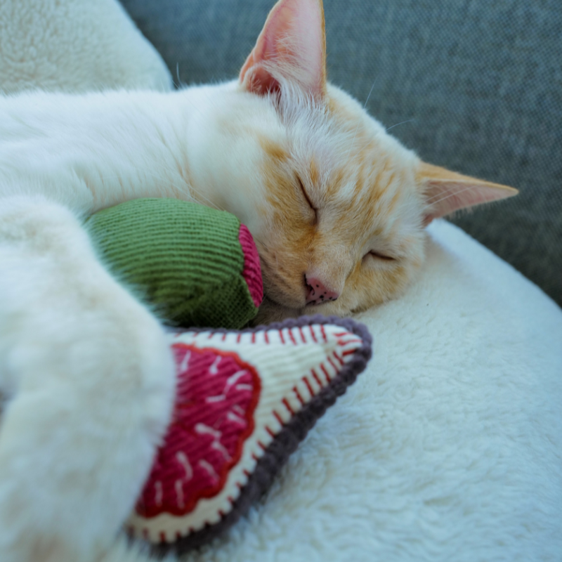Lambwolf Collective - KITTY OLIVE + FIG