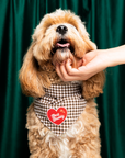 Scout's Honour Pty Ltd - Best Buddy iron-on patch for dogs and cats